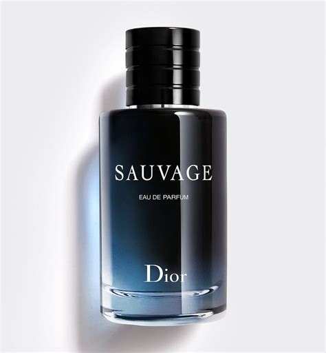 dior beauty uae.